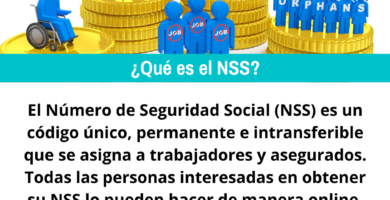 Qué es el NSS